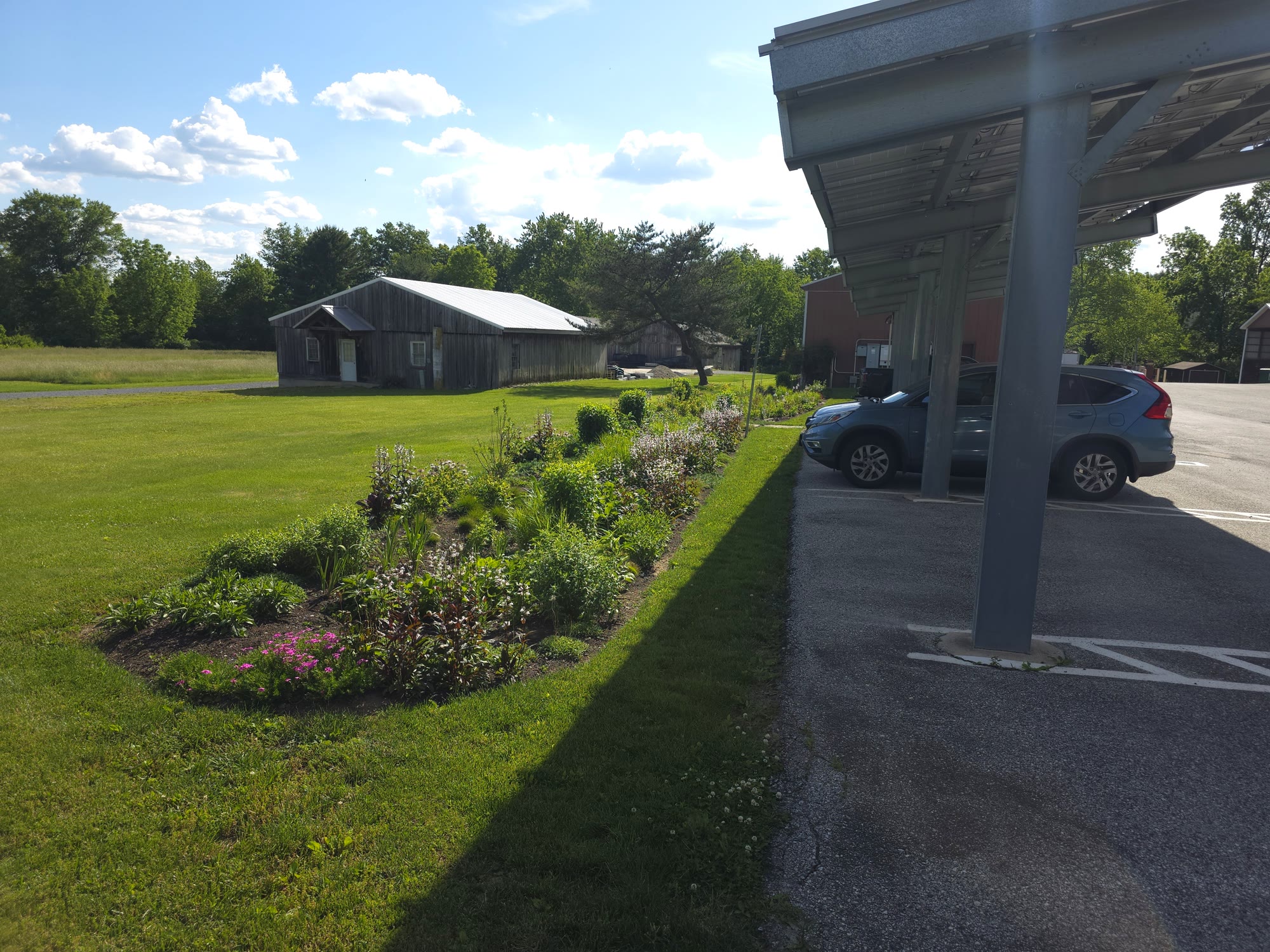 Municipal Bioswale & Rain Garden