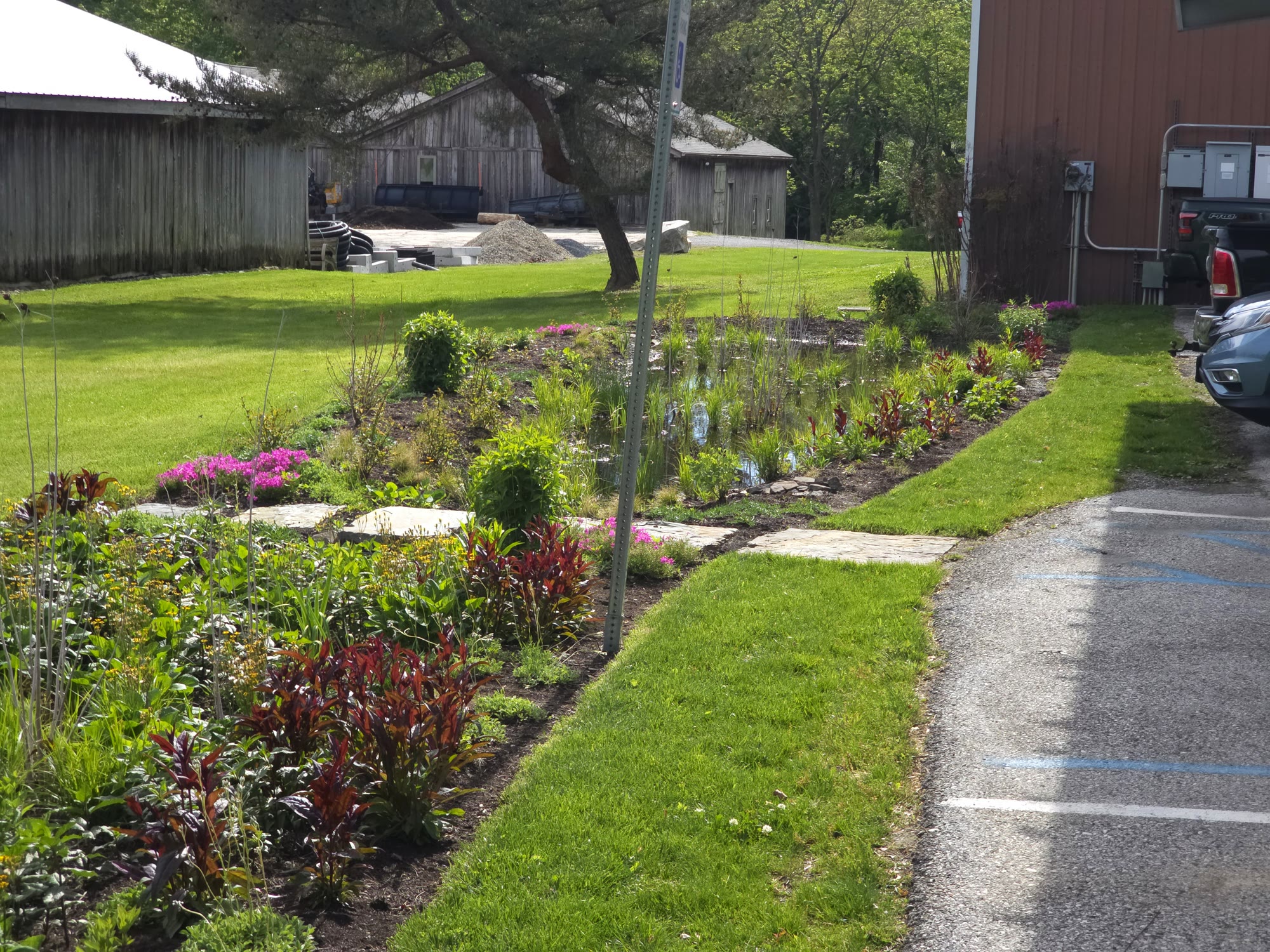 Municipal Bioswale & Rain Garden