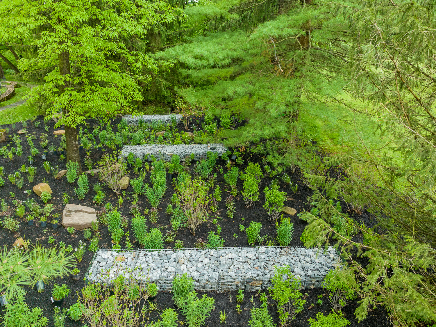 Lost Trail Rain Gardens