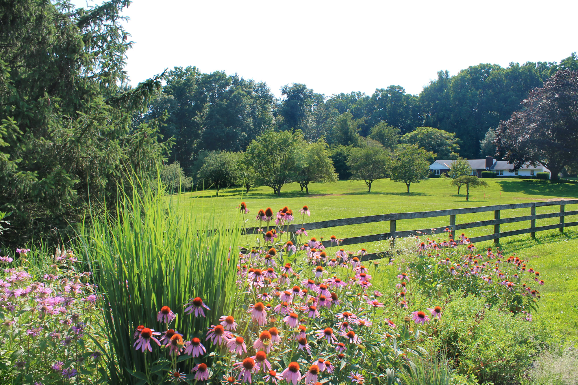Lost Trail Rain Gardens