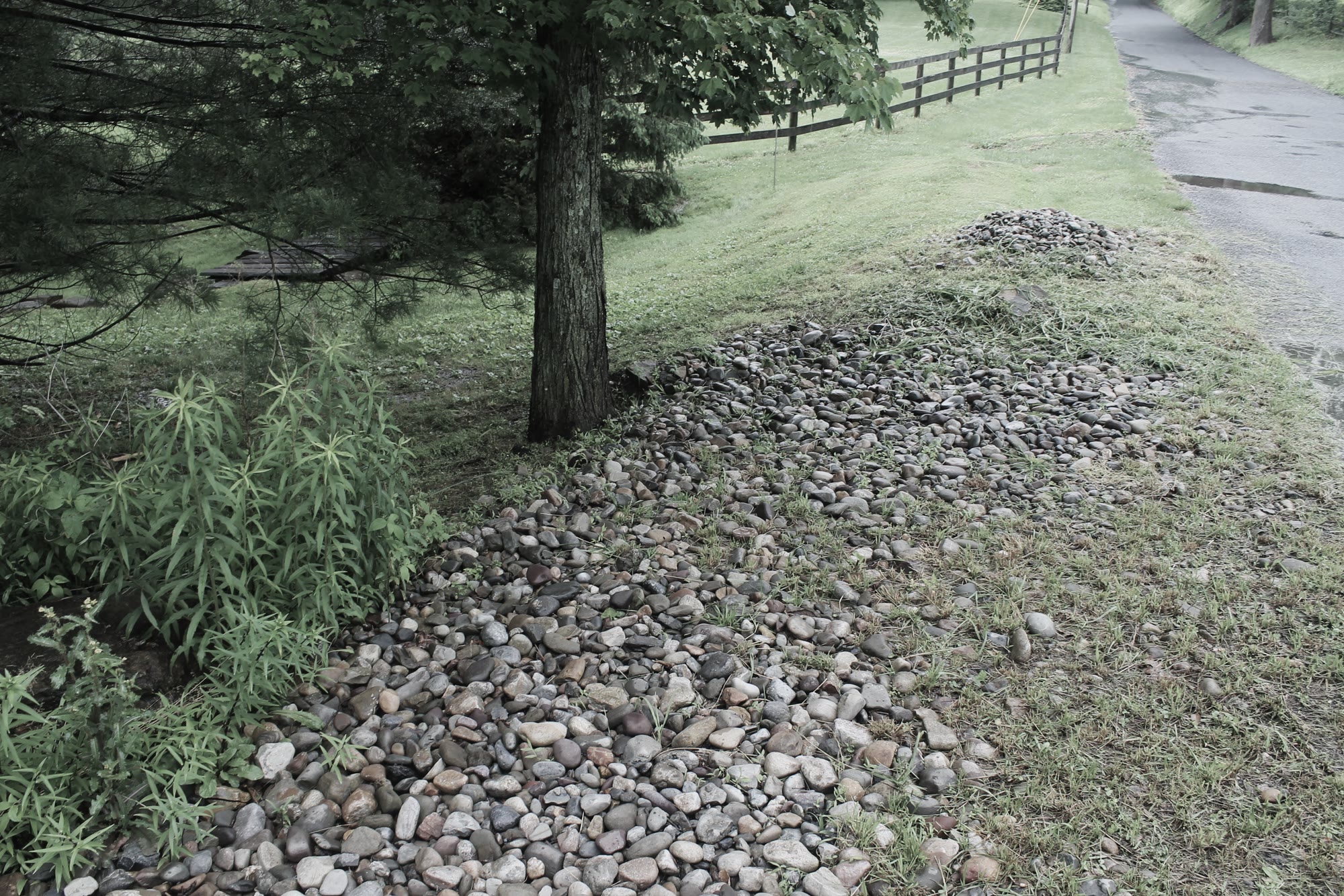 Lost Trail Rain Gardens