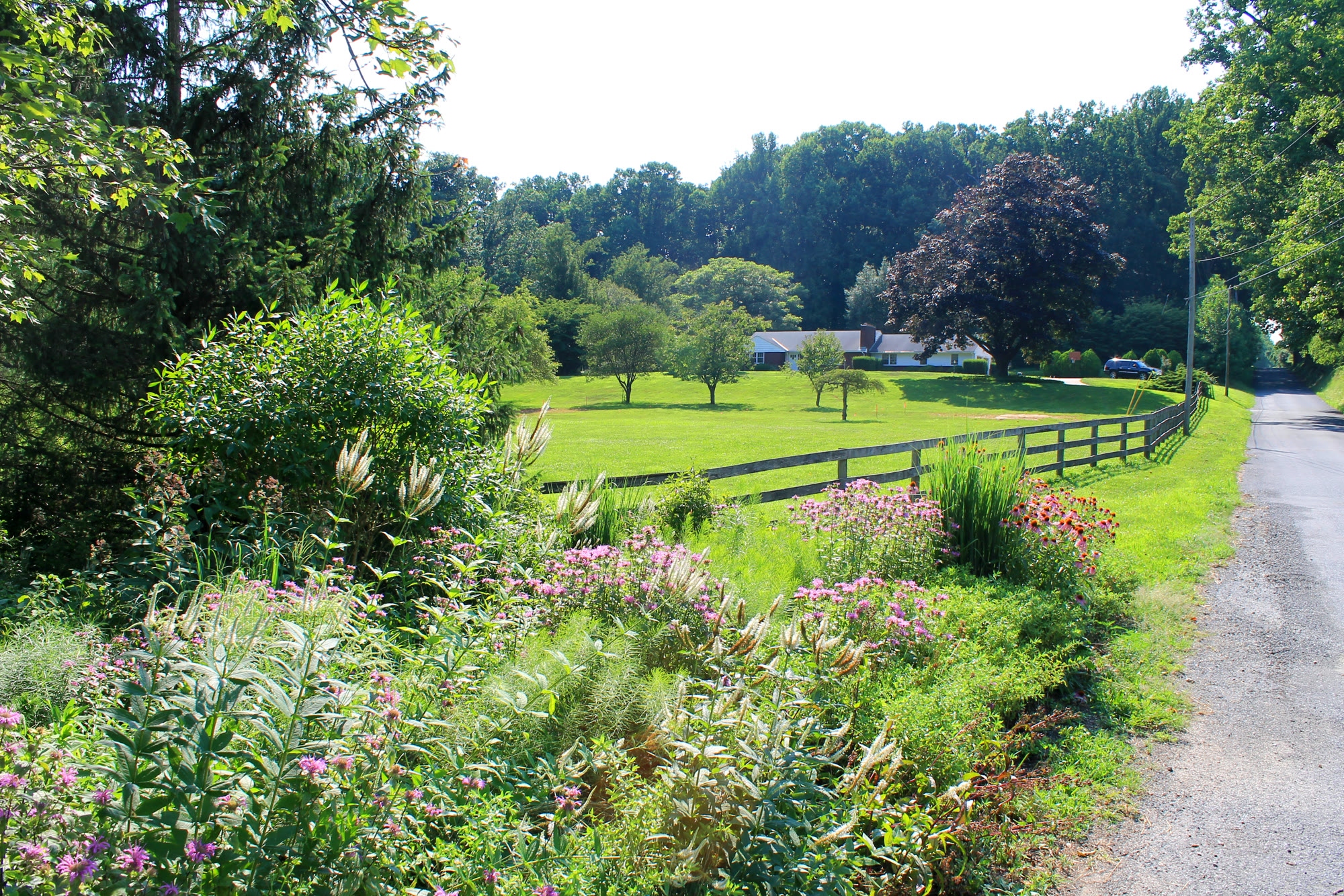 Lost Trail Rain Gardens