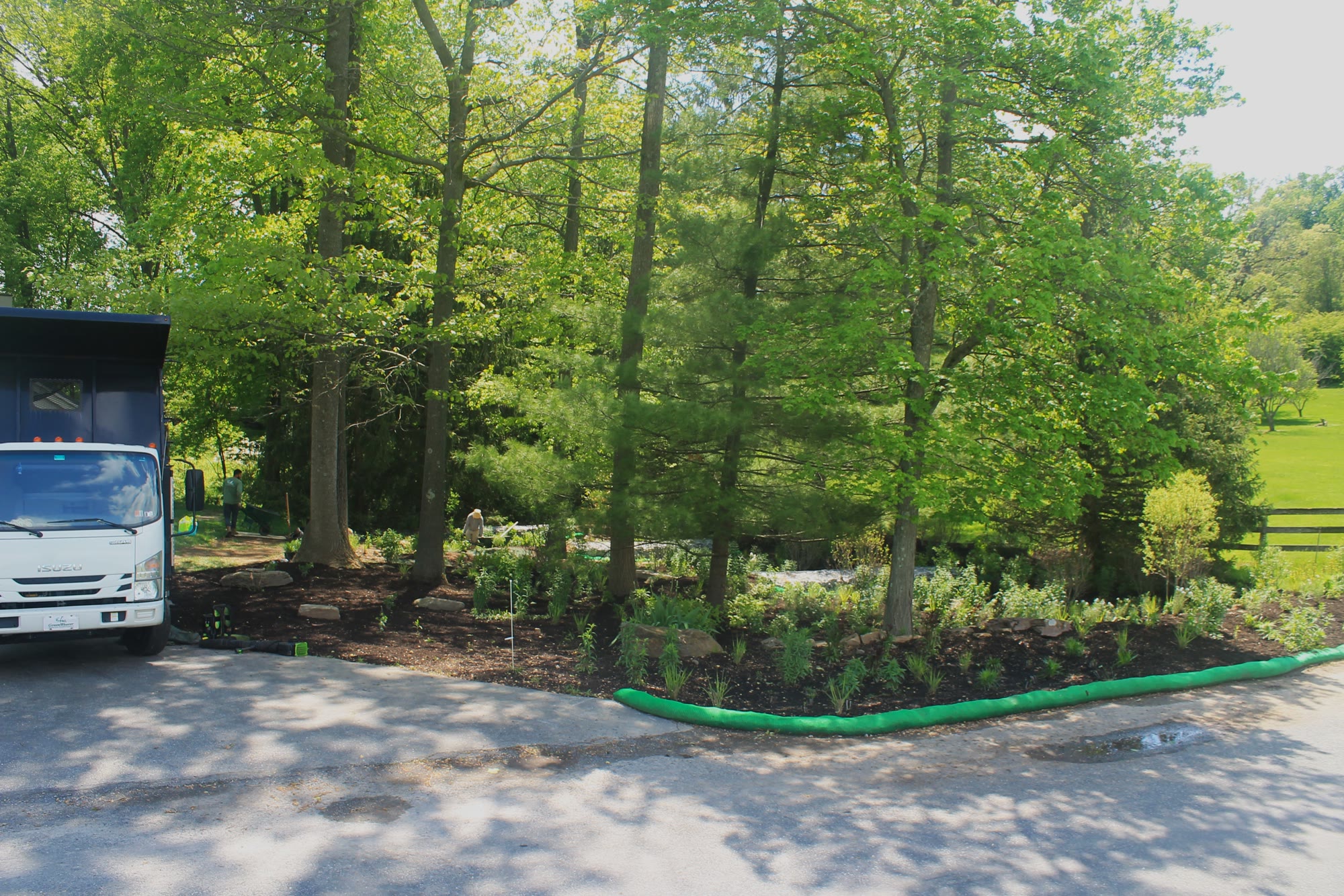 Lost Trail Rain Gardens