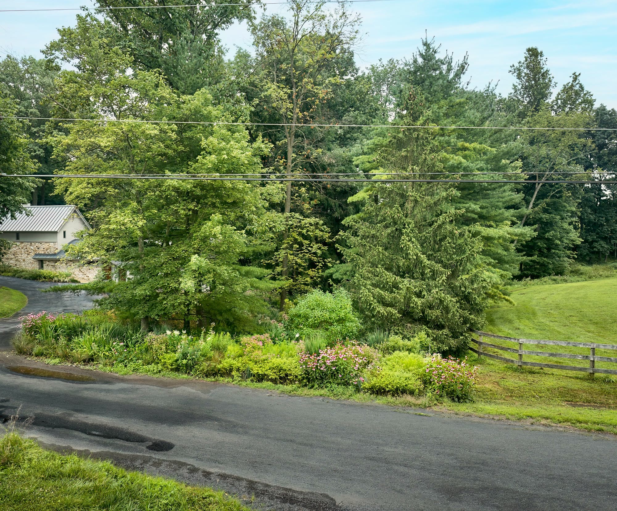 Lost Trail Rain Gardens