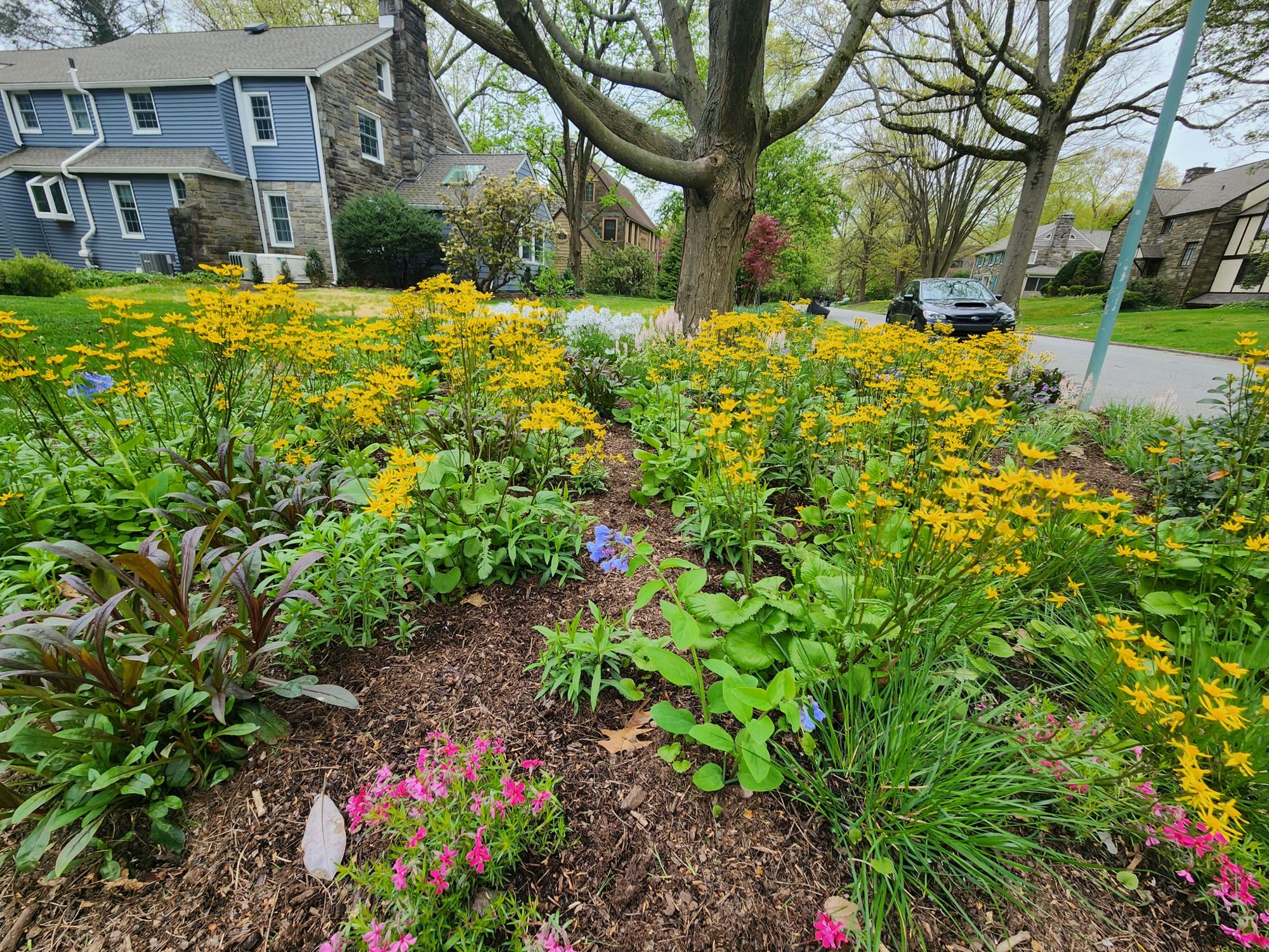 Swarthmore Cottage Garden